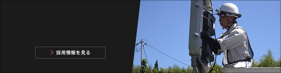 採用情報を見る